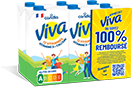 Briques de lait VIVA